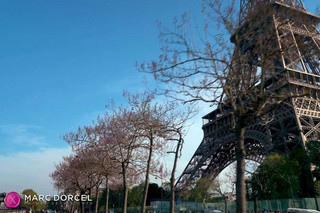 Une nuit à Paris